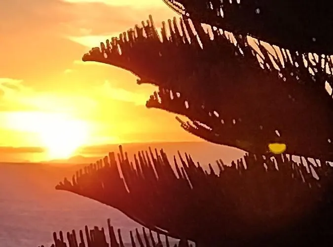 Vista Faro Sardina 大加那利岛拉斯帕尔马斯